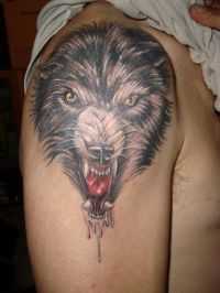 tatuaj Transilvania Tatoo - Ovidiu Popartan